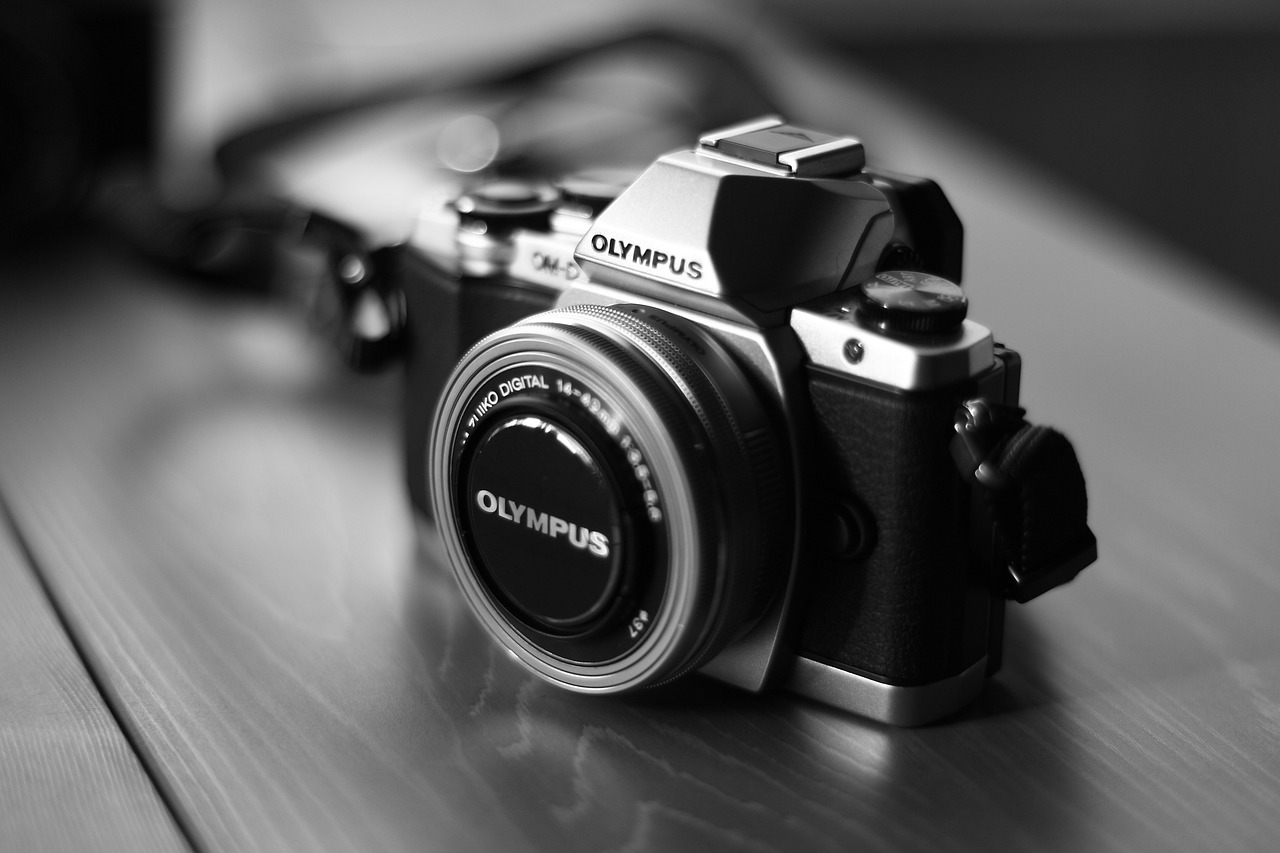 Portrait Sessions  Services